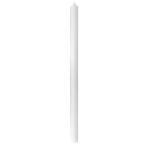 Cierge blanc vert calice poissons 500x30 mm 3