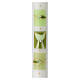 Cierge blanc vert calice poissons 500x30 mm s2