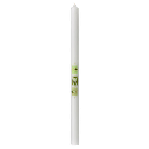 Cero bianco verde calice pesci 500x30 mm 1