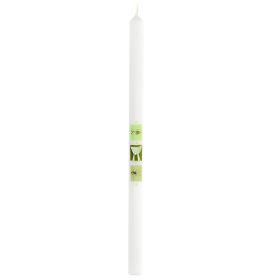 White candle with green chalice fish 500x30 mm