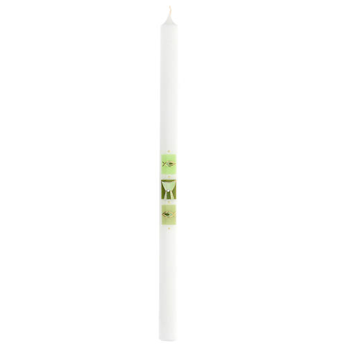White candle with green chalice fish 500x30 mm 1