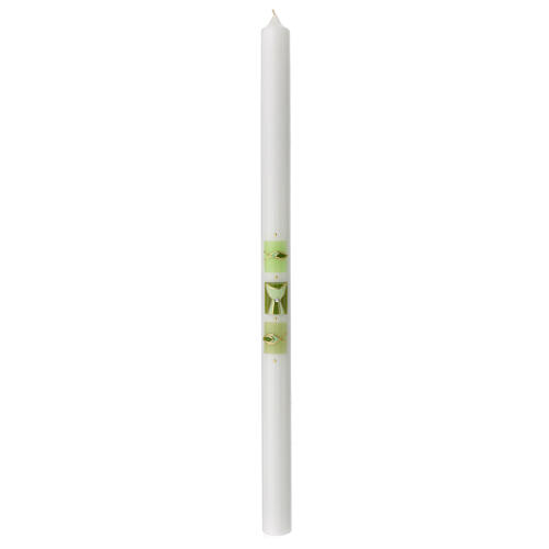 White candle with green chalice fish 500x30 mm 1