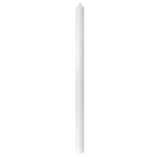 White candle with green chalice fish 500x30 mm 3