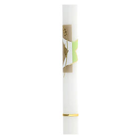 Cero calice spighe verde beige 500x30 mm