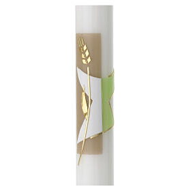 Cero calice spighe verde beige 500x30 mm