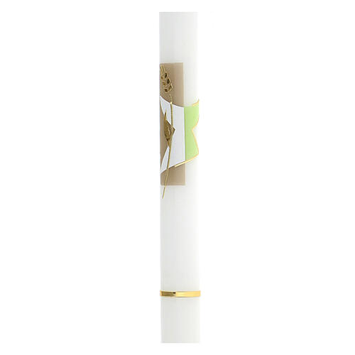 Cero calice spighe verde beige 500x30 mm 2