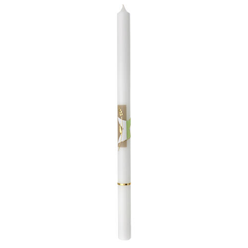 Cero calice spighe verde beige 500x30 mm 1