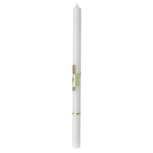 Cero calice spighe verde beige 500x30 mm 3