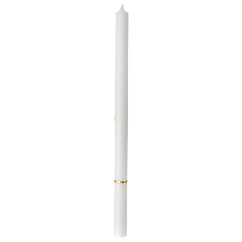 Cero calice spighe verde beige 500x30 mm 4