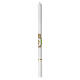 Cero calice spighe verde beige 500x30 mm s1