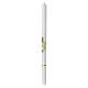 Cero calice spighe verde beige 500x30 mm s3
