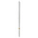 Cero calice spighe verde beige 500x30 mm s4