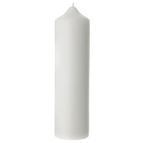 Świeca pogrzebowa, gałęzie i liście czarne, 220x60 mm 3