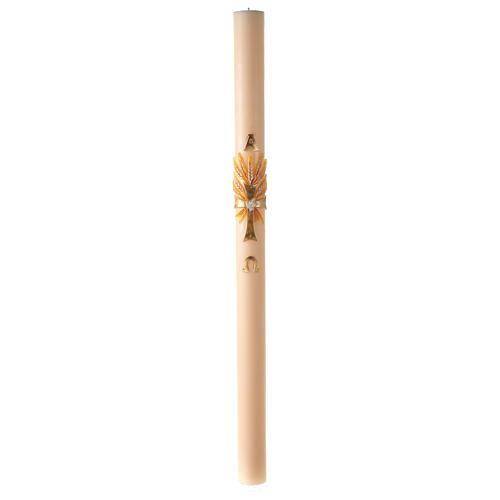 Ivory Paschal candle with cross and ears of wheat 120x8 cm 4