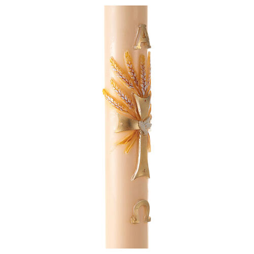 Paschal candle in ivory with cross and ears of wheat 120x8 cm 5
