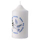 Set of 4 White Dove of Peace candles 12x6 cm s3
