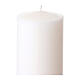 Cierge pascal blanc avec Jésus ressuscité et détails floraux 120 cm diam. 8 cm s6