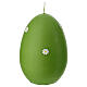 Hand-decorated 6-inch pistachio green egg candle with daisies by Cereria Di Giorgio s1
