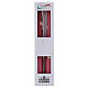 Candele coniche SET 2 PZ decorate a mano margherite 25 cm rosa polvere Cereria Di Giorgio s2