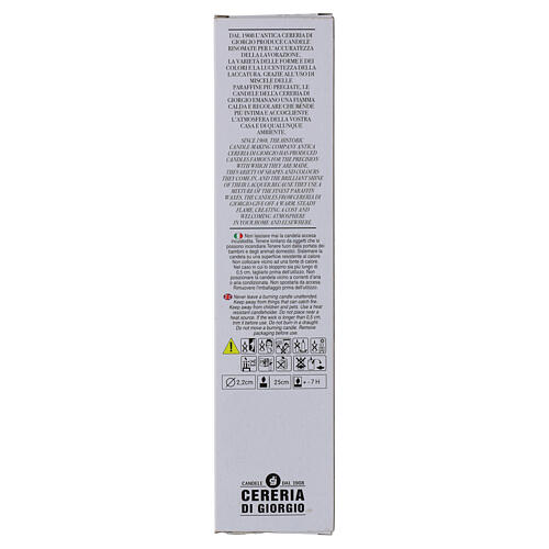Candele coniche SET 2 PZ celesti margherite decorate a mano 25 cm Cereria Di Giorgio 3