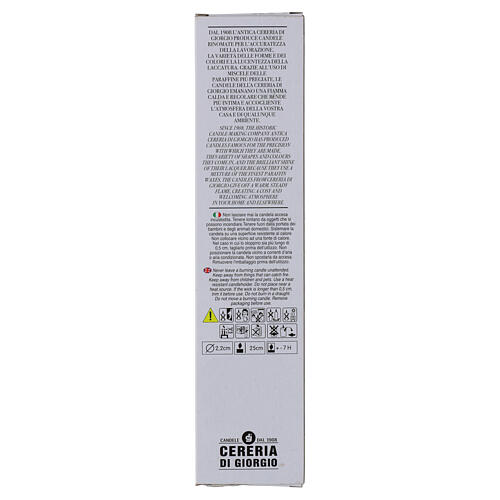 Candele coniche SET 2 PZ bianche decorate a mano con abeti 25 cm - 7 ore Cereria Di Giorgio 3