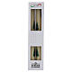 Candele coniche SET 2 PZ bianche decorate a mano con abeti 25 cm - 7 ore Cereria Di Giorgio s2