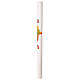 Paschal Candle White with Red Cross and Green Olive Leaf Embossments Alpha and Omega 8x120 cm s4