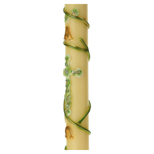 Cierge pascal Alpha et Oméga liane de lierre 8x120 cm 5