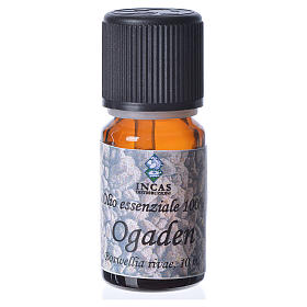 Ogaden essential oil, 100% pure