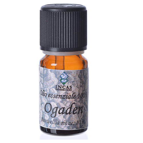 Ogaden essential oil, 100% pure 3