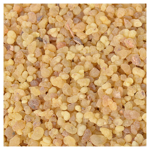 Incenso etíope puro Olibanum grãos 1 kg 1