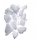 Huile cristallisée de Camphre échantillon 15 g s1