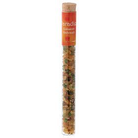 Paradiso-scented incense in tube 25 gr
