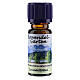 Lavander essential oil 10 ml s1