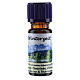 Winter Time essential oil 10 ml s1