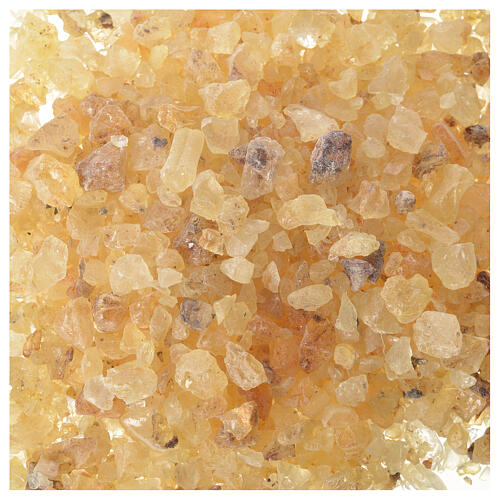 Incense sample 10 gr Agathis Amber CO000064 1