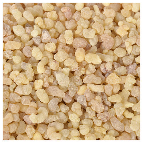 Ethiopian pure Oliban sample 10 g CO000095 1