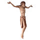 Body of Christ in Romanesque style, Valgardena wood, multi-patin s4
