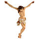 Corpo di Cristo legno dipinto drappo bianco e dorato s5
