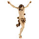 Corpo di Cristo Leonardo brunito con tre colori s4