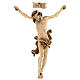 Christ's body Leonardo burnished three colours s1
