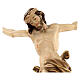 Christ's body Leonardo burnished three colours s2