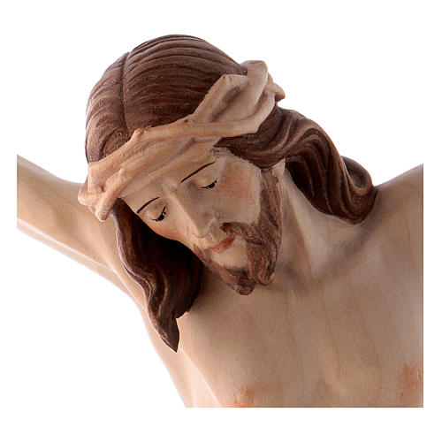 Corpo Cristo Siena brunito 3 colori 2