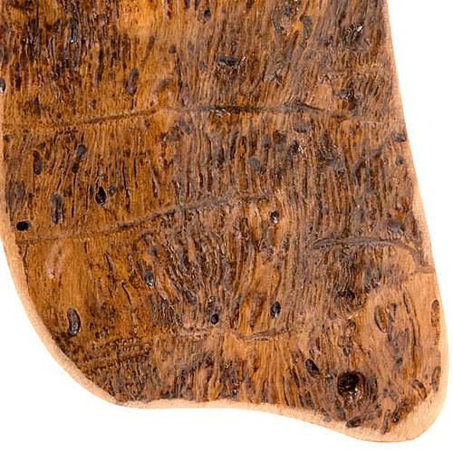 Tau olivo corteza oscuro 2