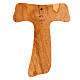 Dark olive wood bark tau cross s3