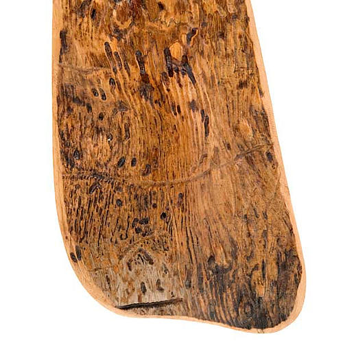 Tau Oliven-Holz Rinde hell 2