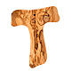 Bright olive wood bark tau cross s3