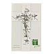 Crucifix moderne verre transparent avec décorations rayures noires 20x15 cm s2