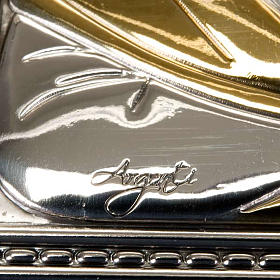 Couverture 4 vol. cuir avec plaque icône s7