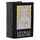 Liturgy of the Hours (4 vol) slipcase with Christ Pantocrator s2